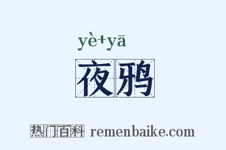 夜鸦是什么意思的图片